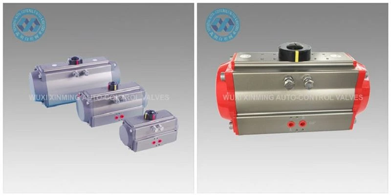 Rotary Pneumatic Valve Actuator Rotary Pneumatic Valve Actuator