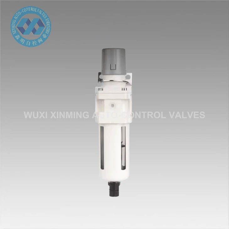 Precise Pressure Control + Long Life! Air Source Filter Reducing Valve For Industrial Use