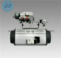 Atuador rotativo pneumático SR